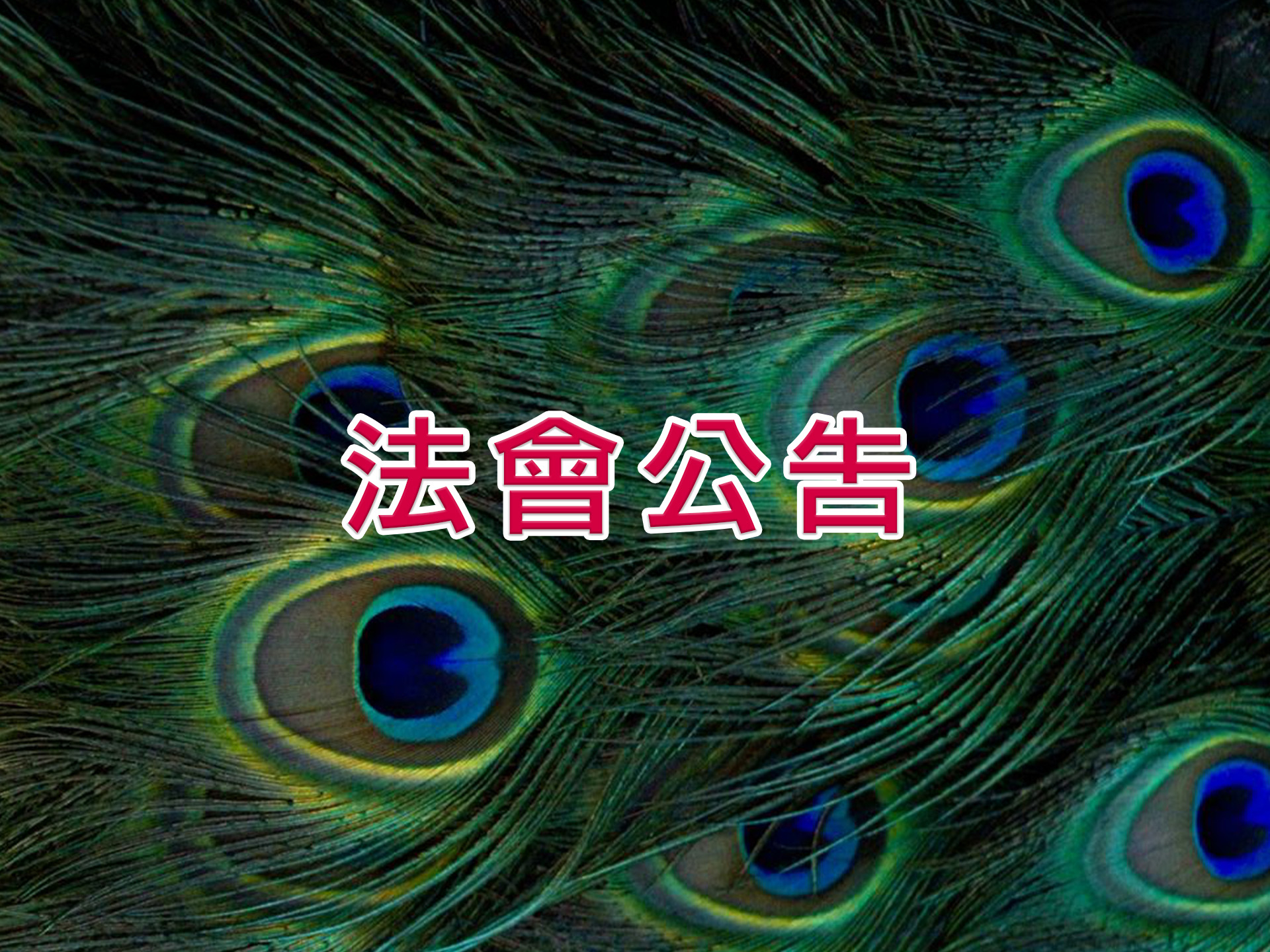  佛母大孔雀明王經消災祈福法會(桃園超薦法會） 